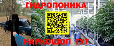 мяу мяу мука Чебоксары